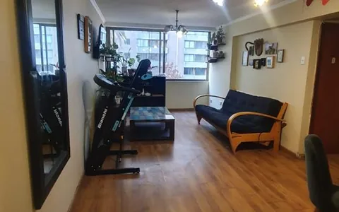 Hermoso y amplio departamento en pleno centro de Santiago