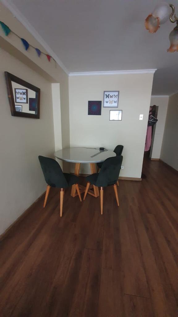 Hermoso y amplio departamento en pleno centro de Santiago · foto 3