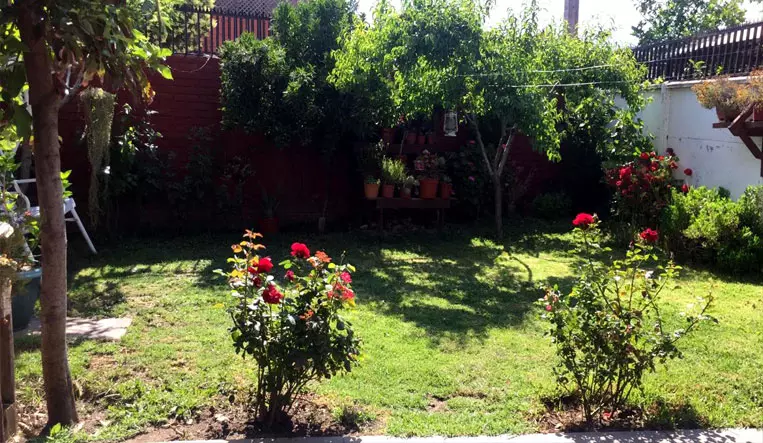 Santa Liliana La Florida